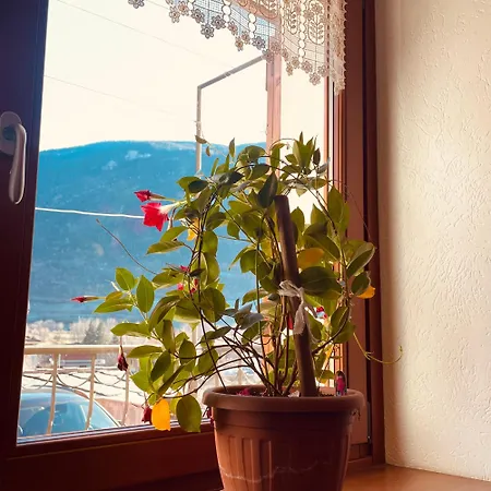 Gran Paradiso Alpine Apartament
