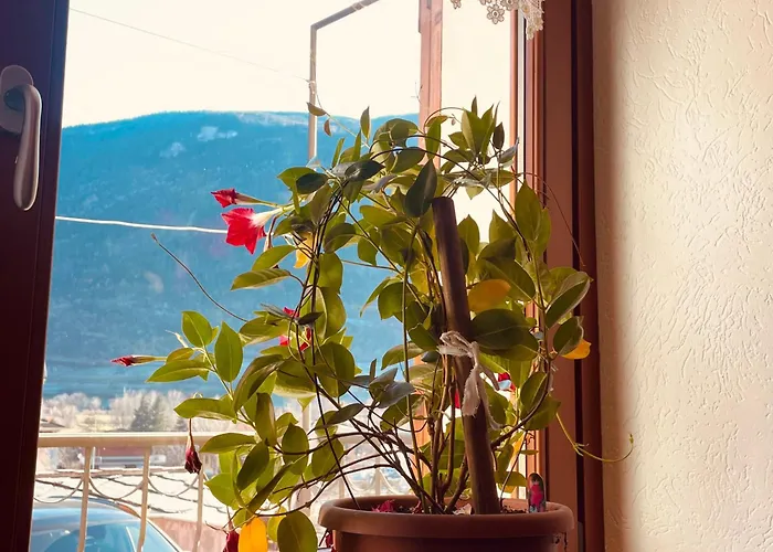 Gran Paradiso Alpine Апартаменты